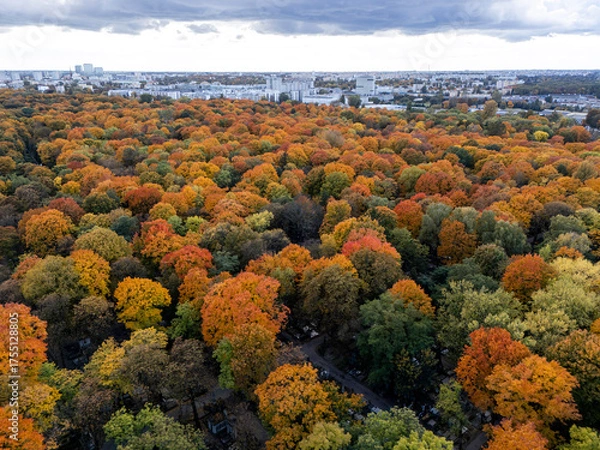 Fototapeta Warszawa, panorama miasta widoczna z okolicy Starych Powązek, jesień