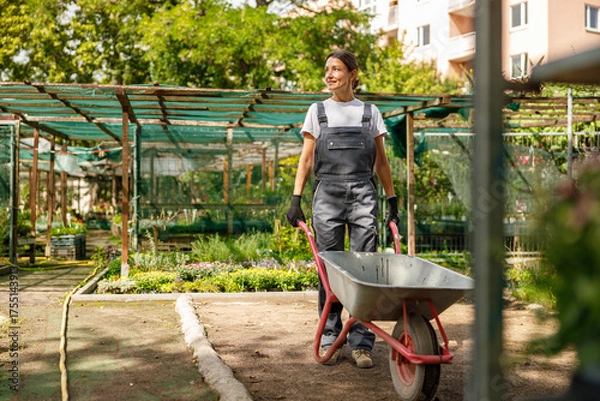 Fototapeta A woman is diligently tending to her beautiful garden while using a wheelbarrow in a vibrant, green environment