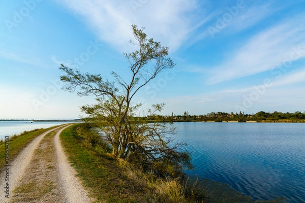 Fototapeta Albarella