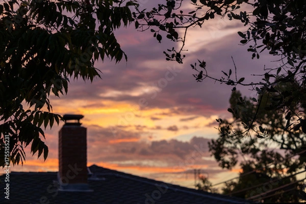 Obraz Sharp leaves framing a soft sunset rooftop