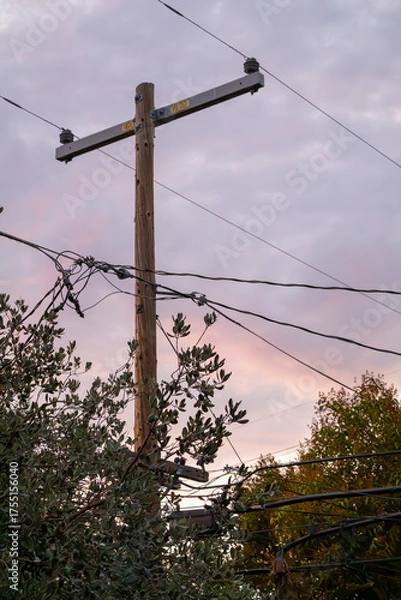 Obraz oft sunset with tree branches and electric wires