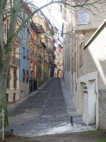 Obraz OLYMPUS DIGITAL CAMERA