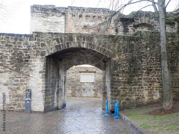 Obraz OLYMPUS DIGITAL CAMERA