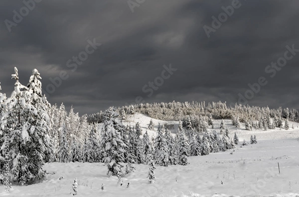 Fototapeta Togwotee Pass