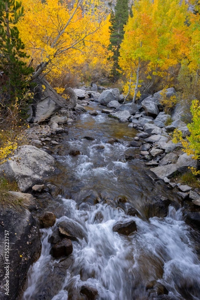 Obraz Bishop Creek in Fall