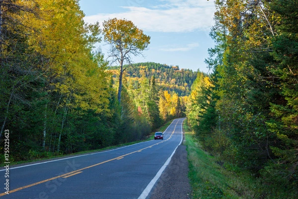 Obraz Hills and trees along the Gunflint Trail in northern Minnesota on a sunny fall afternoon