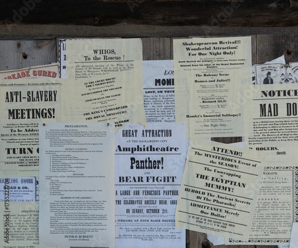 Obraz Gold Rush Posters