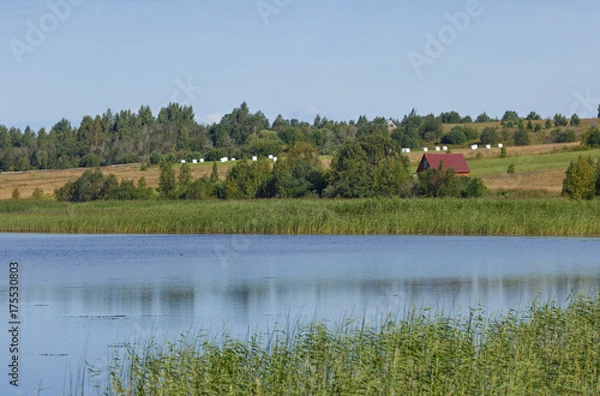 Fototapeta view of the smooth surface of the lake with vegetation