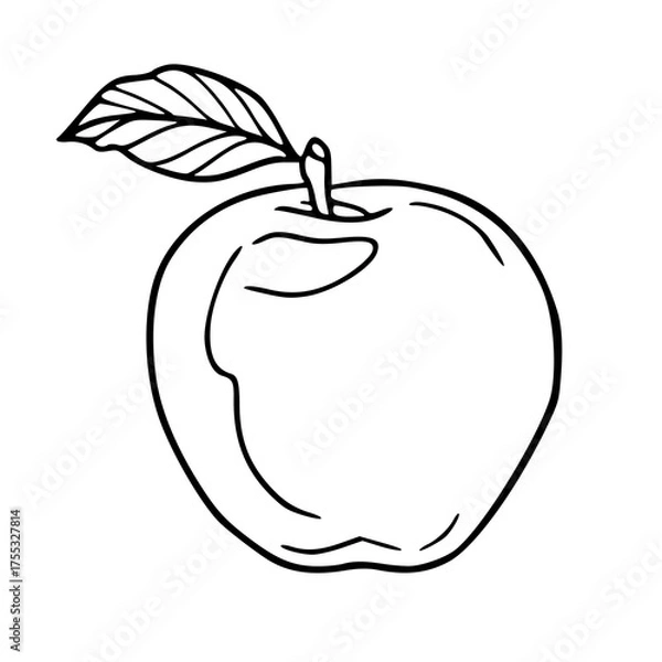Obraz fresh whole apple with leaf vector outline