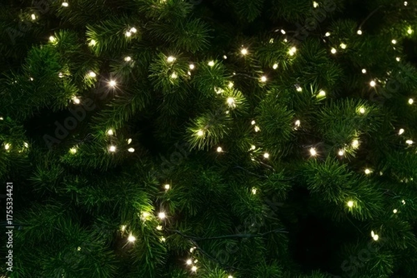 Fototapeta Christmas Tree with Lights Background