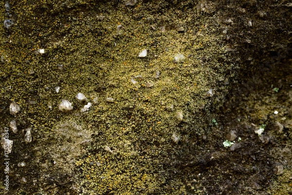 Obraz 表面に苔が生えて黄緑色に見える石のクローズアップ。画面中央にピント。石や岩のテクスチャー