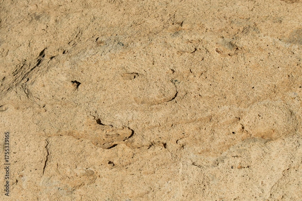 Obraz 表面に凸凹のある茶色い石のクローズアップ。石や岩のテクスチャー