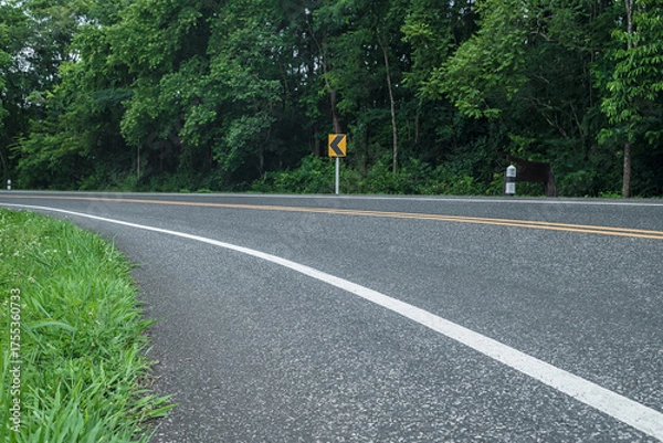 Obraz Beautiful curved road in the forest. Road background.