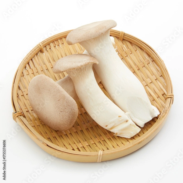 Obraz 白背景に置かれたエリンギ