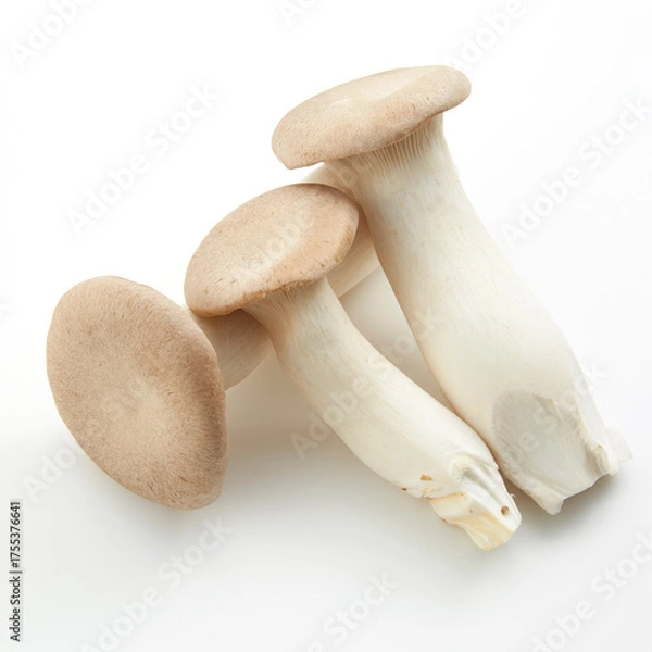 Obraz 白背景に置かれたエリンギ