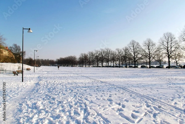 Obraz Skiing in the park
