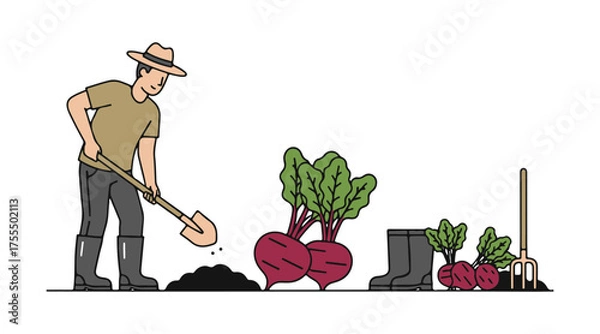 Fototapeta A collection of vector illustrations featuring beet root harvesting. Includes icons for gardening, farming, shovels, spades, and gum boots on a white backdrop.