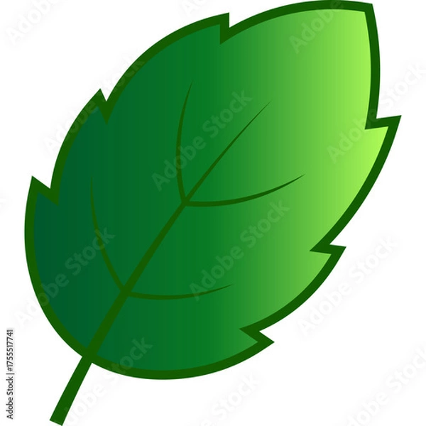 Fototapeta Green Tree Leaf Nature Element
