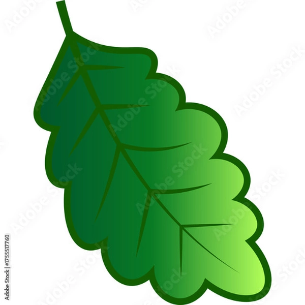 Fototapeta Green Tree Leaf Nature Element