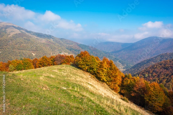 Obraz Fall season panorama with foliage of Valdilana region (Piedmont, Northern Italy). This area is a famous nature reserve, full of trekking paths.