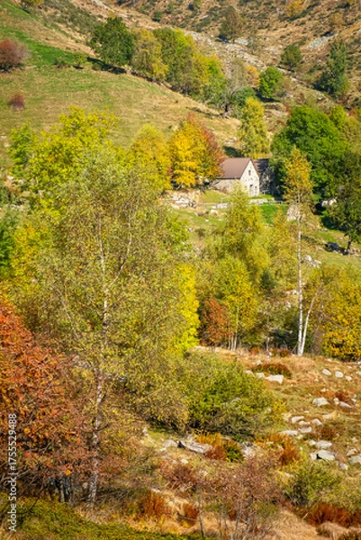 Fototapeta View of a mountain pasture in the Valdilana region (Piedmont, Northern Italy). This area is a famous nature reserve, full of trekking paths.