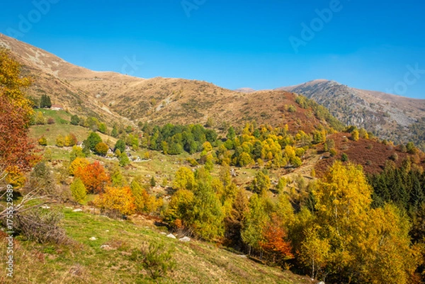 Fototapeta Fall season panorama with foliage of Valdilana region (Piedmont, Northern Italy). This area is a famous nature reserve, full of trekking paths.