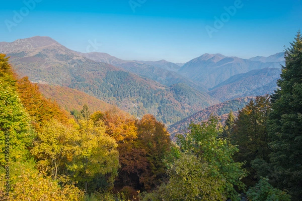 Obraz Fall season panorama with foliage of Valdilana region (Piedmont, Northern Italy). This area is a famous nature reserve, full of trekking paths.