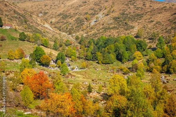 Fototapeta View of a mountain pasture in the Valdilana region (Piedmont, Northern Italy). This area is a famous nature reserve, full of trekking paths.