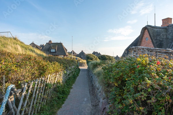 Fototapeta A narrow brick walkway winds through coastal shrubs and fences toward thatched houses. The bright morning light creates a peaceful island mood.