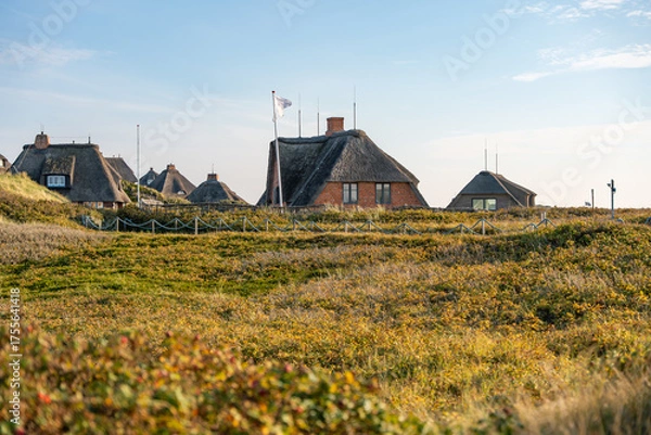 Fototapeta Red-brick thatched cottages stand among grassy dunes and soft sunlight. A white flag waves gently in the coastal breeze.