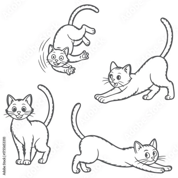 Fototapeta Playful Cat Poses Jumping, Stretching, Standing, and Crouching