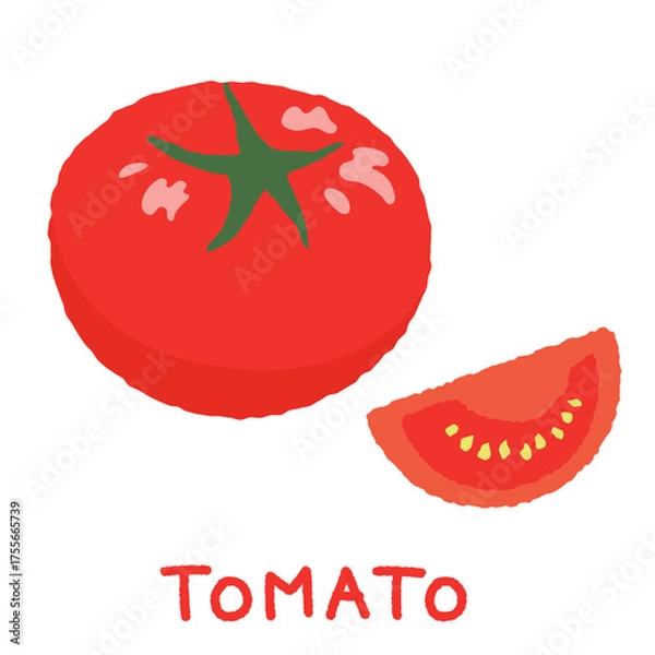 Fototapeta 丸いトマトとカットされたトマトのベクターイラスト。