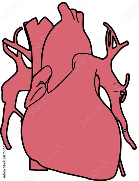 Obraz 人体の心臓