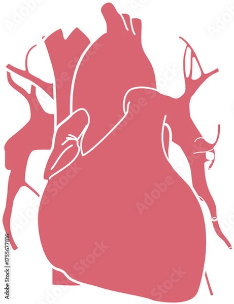 Obraz 人体の心臓