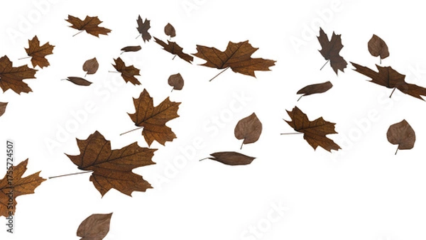 Fototapeta The Autumn Leaf  png image for Season or holiday concept 3d Rendering.