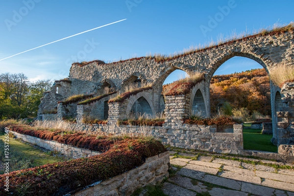 Fototapeta Ruins of Alvastra Abbey during autumn. This Cistercian monastery was founded in 1143 at Alvastra in county Östergötland, Sweden