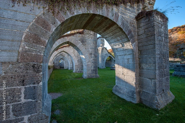 Fototapeta Ruins of Alvastra Abbey during autumn. This Cistercian monastery was founded in 1143 at Alvastra in county Östergötland, Sweden