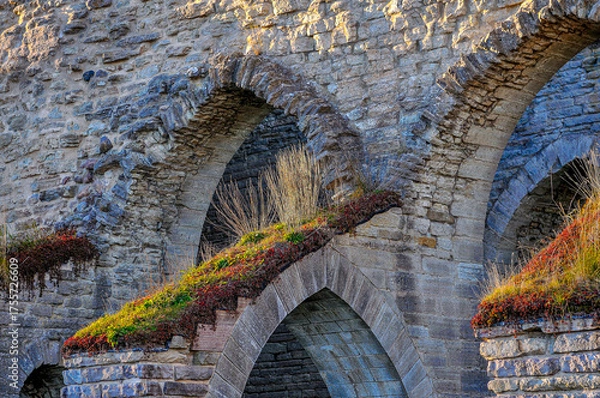 Fototapeta Ruins of Alvastra Abbey during autumn. This Cistercian monastery was founded in 1143 at Alvastra in county Östergötland, Sweden