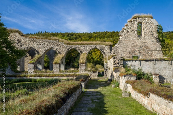 Fototapeta Ruins of Alvastra Abbey during autumn. This Cistercian monastery was founded in 1143 at Alvastra in county Östergötland, Sweden