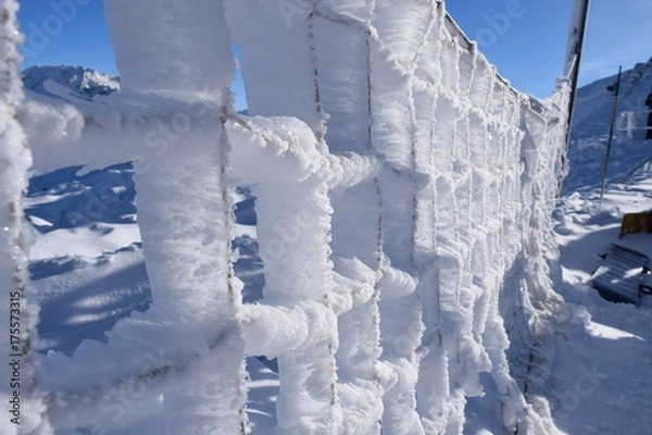 Obraz filet de glace