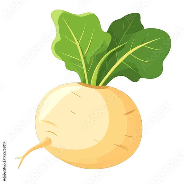 Fototapeta Illustration of Turnip with White Round Body and Green Leaves Against a Plain Background Detailed Still Life with Muted Tones and Pixelated Style