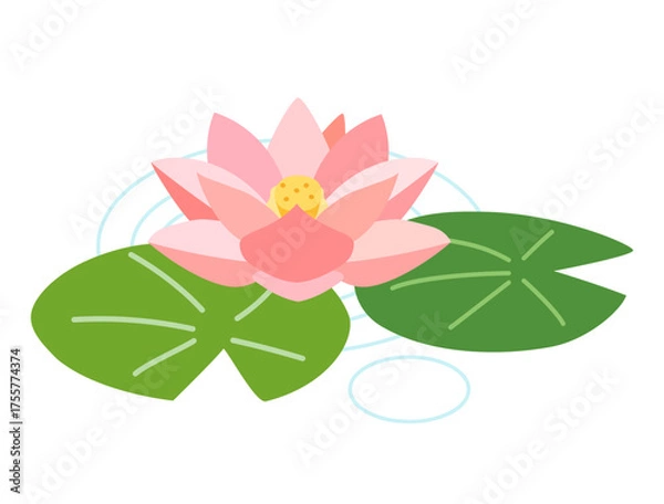 Obraz ピンクの睡蓮をイメージしたイラスト