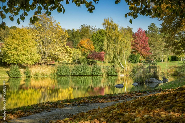 Obraz Lovely park with autumn colors