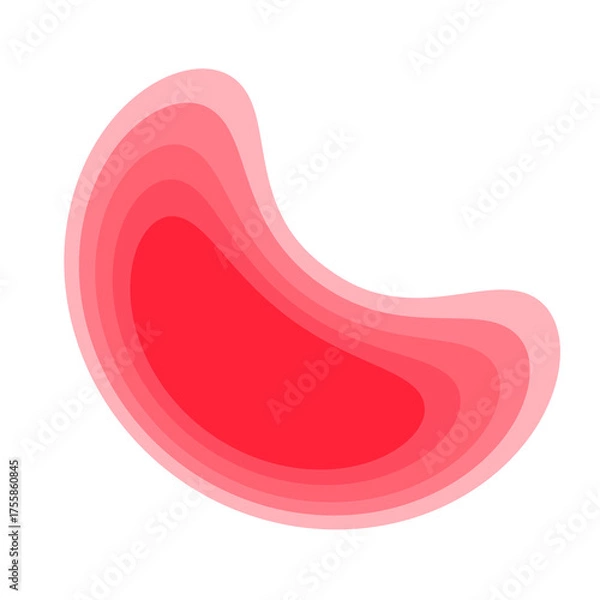 Fototapeta abstract layered red bean shape with varying shades of pink on transparent background