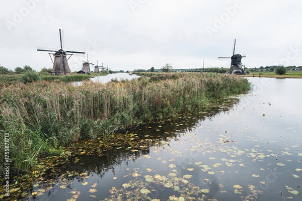 Obraz Windmühlen in Kinderdijk, Holland