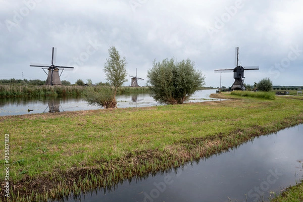 Obraz Windmühlen in Kinderdijk, Holland