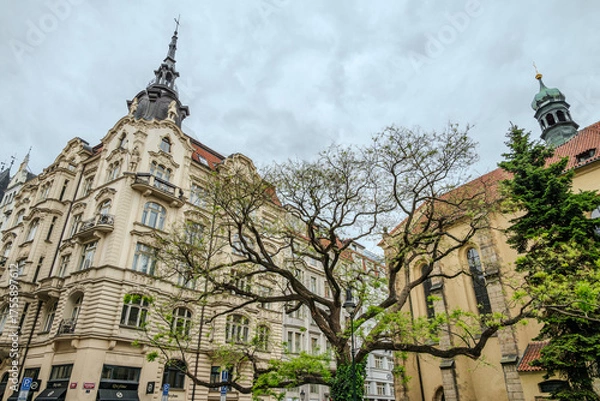Fototapeta Attractive buildings with Bohemian architecture in Prague Old Town, Czech Republic, under rainy May clouds with a tree of fresh spring leaves in the foreground