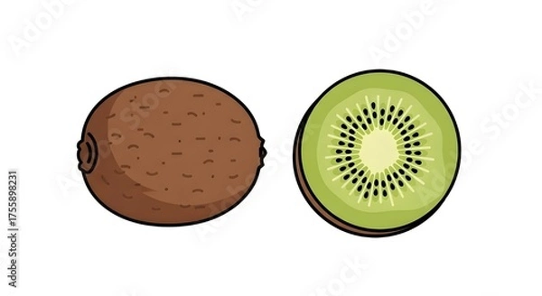 Fototapeta fresh kiwi fruit whole and sliced illustration