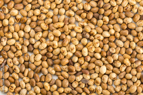 Fototapeta Closeup macro flat lay above soya beans background