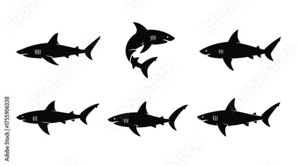 Fototapeta Six silhouette vector illustrations of sharks in various dynamic poses scalable eps graphic for marine themes vector illustration white background